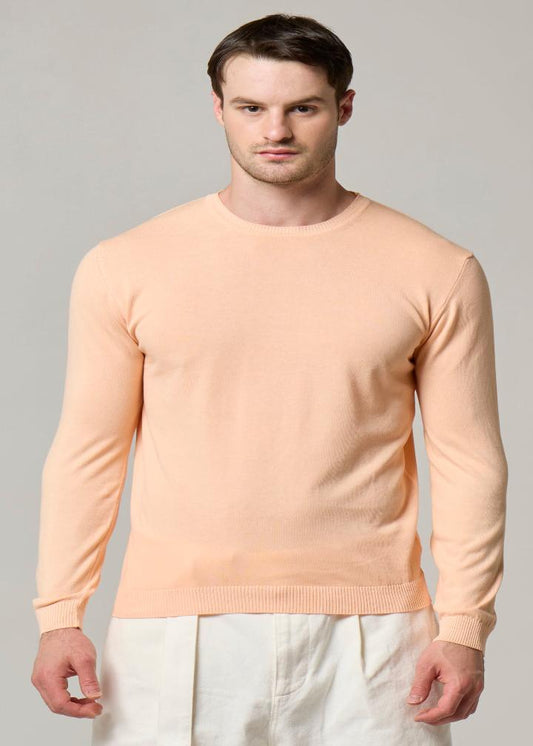 WOOL&CO - LONG SLEEVES CREW NECK SWEATER